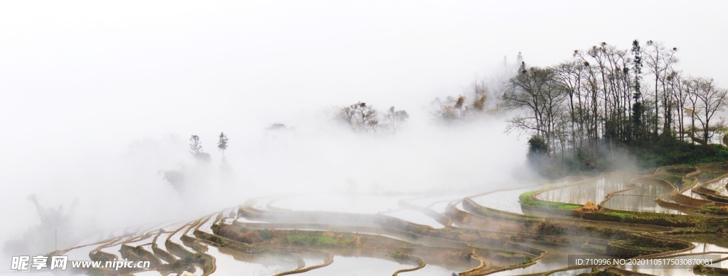 梯田