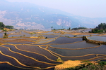 梯田