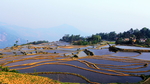 梯田