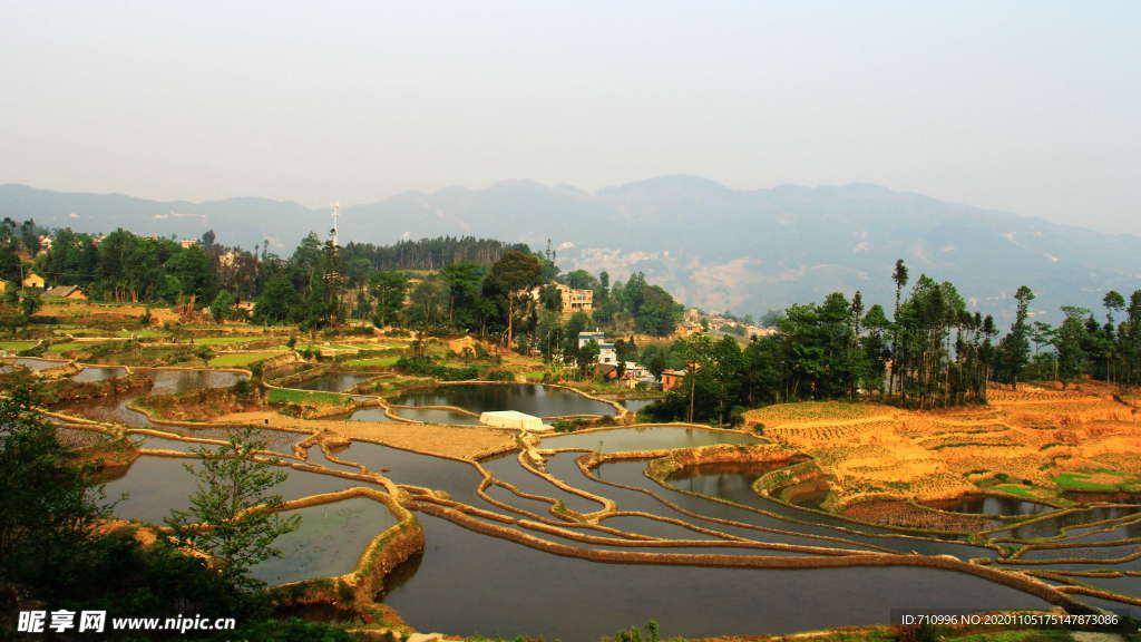 梯田