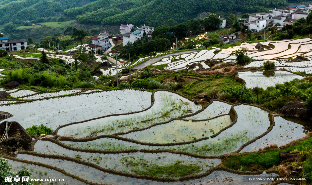 梯田