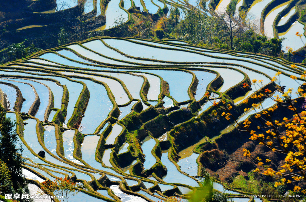 梯田