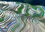 梯田