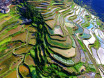 梯田