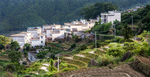 梯田
