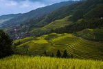 梯田
