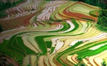 梯田
