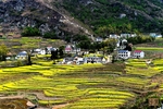 梯田风景