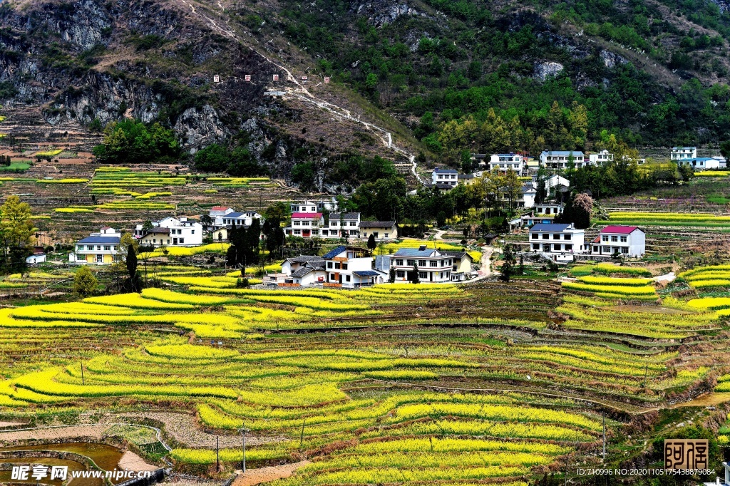 梯田风景