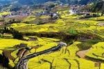 梯田风景