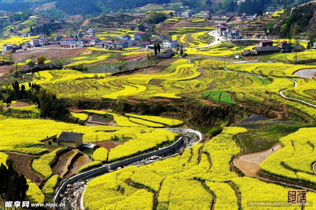 梯田风景