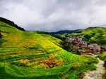 梯田风景