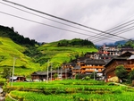 梯田风景