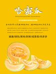 哈密瓜海报