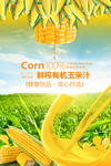果汁玉米汁健康饮料海报