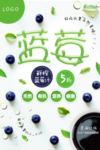 清新时尚蓝莓鲜榨果汁海报