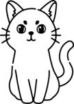猫