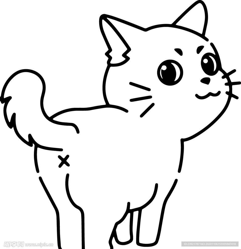 猫