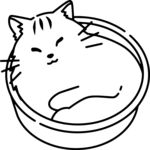 猫