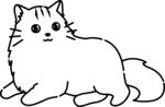 猫