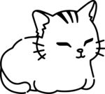 猫