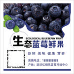 蓝莓