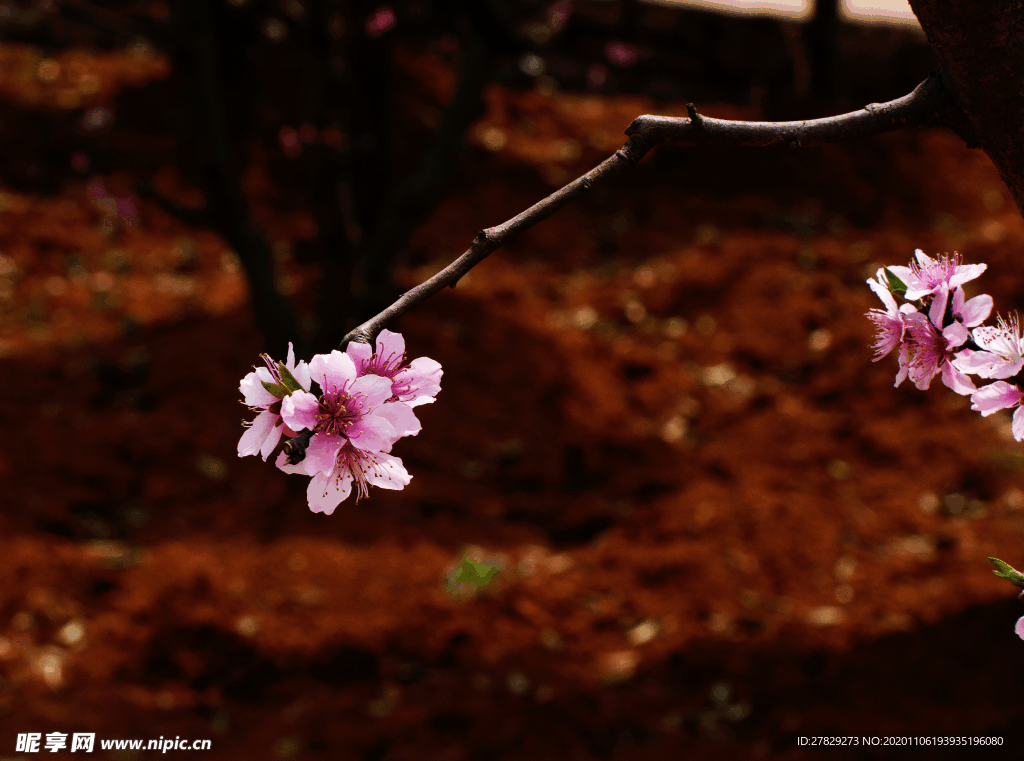 花