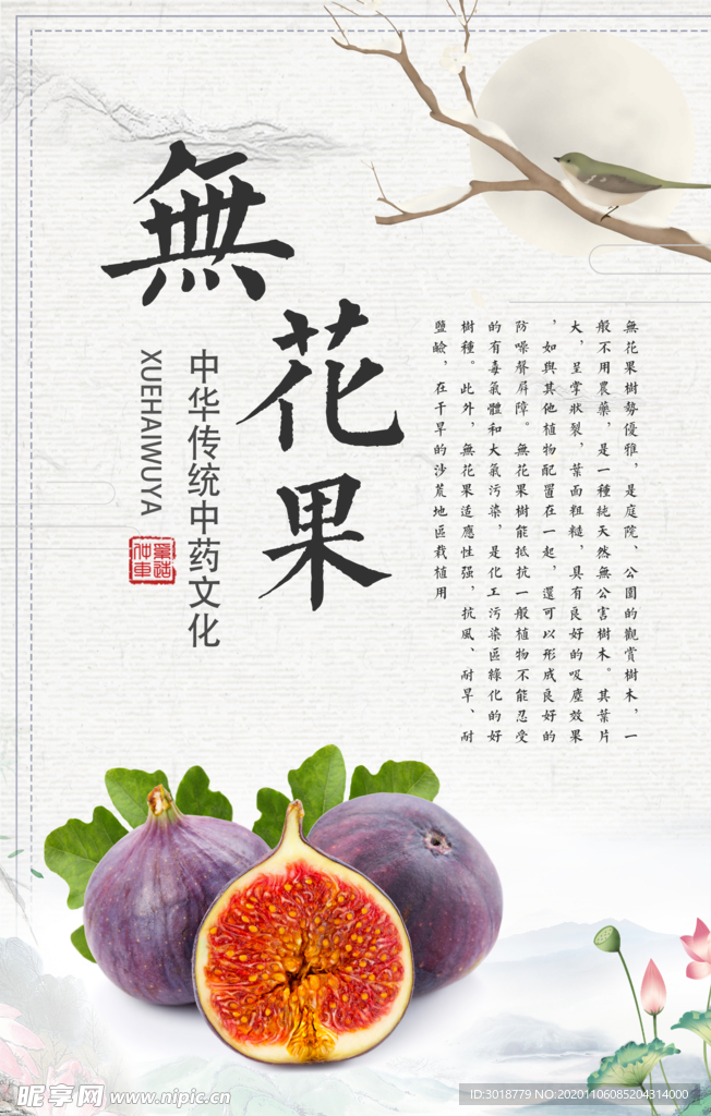 无花果
