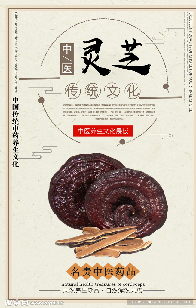 灵芝