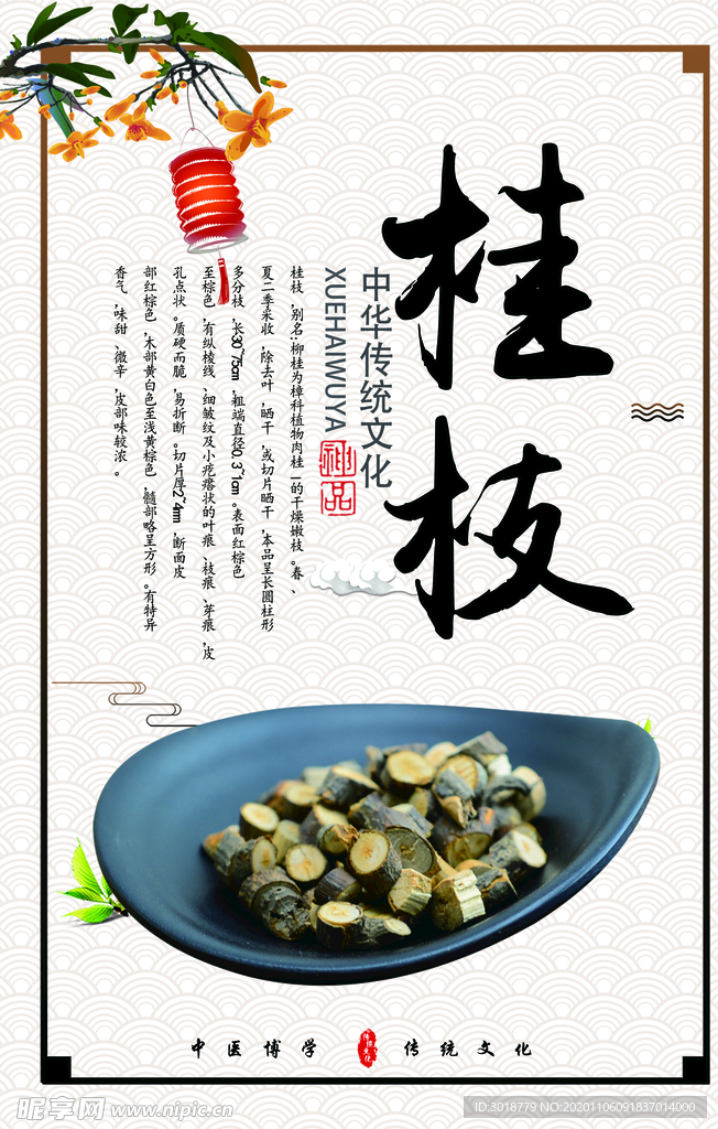 桂枝