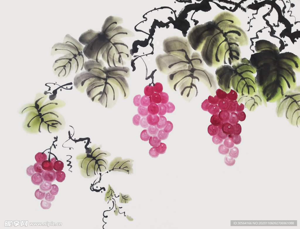 葡萄藤水彩复古背景海报素材