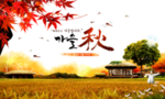 秋天素材