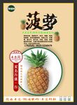 菠萝海报展板