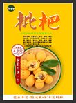 枇杷海报展板