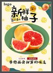 柚子海报展板