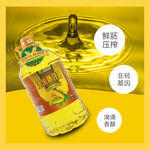 电商 淘宝 玉米油 豆油 主图