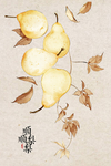 民宿画