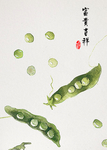 民宿画