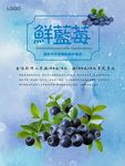 蓝莓海报