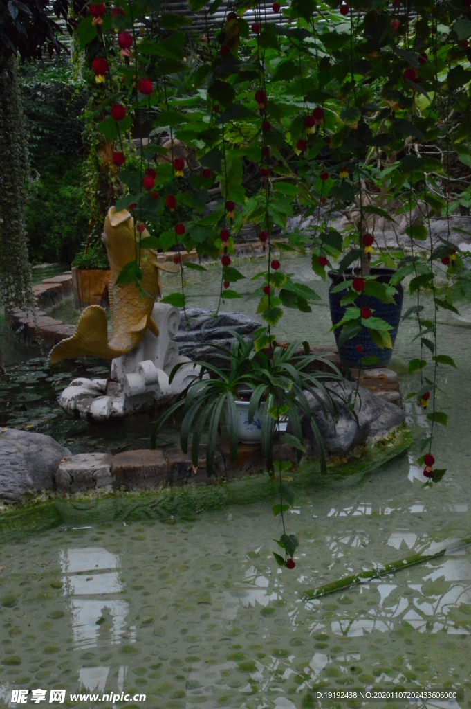 温室风景