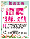 奶粉店招聘海报