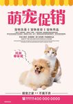 萌宠促销海报