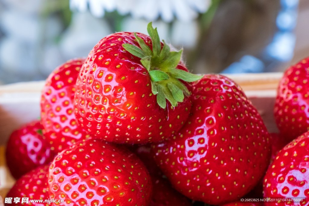 营养丰富的草莓