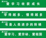 成长