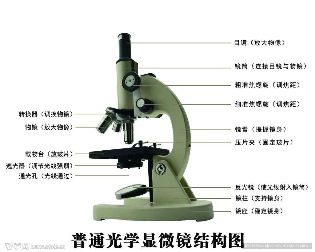 显微镜结构图