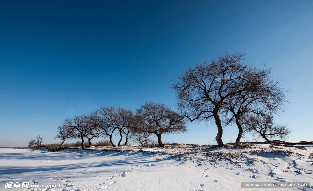 雪景风光