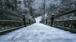 雪地楼梯