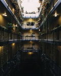 城市