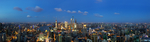 城市