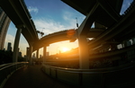 城市